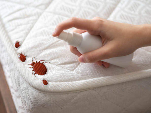 Best Pest Removal Services  in Bedford, IN